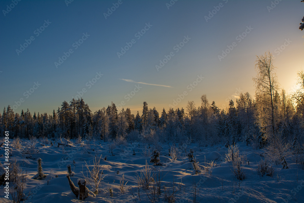 Magnificent winter landscape on a cold day