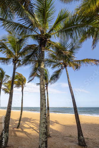praia na cidade de Vila Velha  Estado do Espirito Santo  Brasil