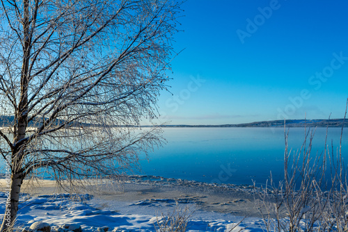 Obraz na płótnie Idyllic winter landscape of trees next to a frozen lake w salonie