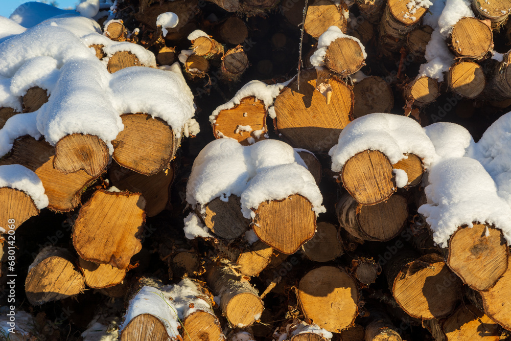 A Stack of trees covered with snow on a cold sunny winter day