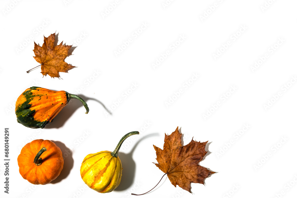 Three different pumpkins on a white background Three different pumpkins on a white background