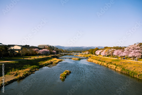 Fluss in Kyoto mit Wasser und blühenden Kirschbäumen am Tag