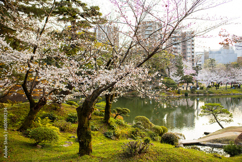 Schöner japanischer Sengarten in Hiroschima am Tag photo