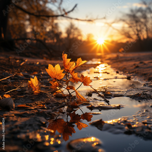beautiful autumn evening sunset wallpaper  creative perspective with fallen leaf  epic sunlight  rural romantic created with Generative Ai