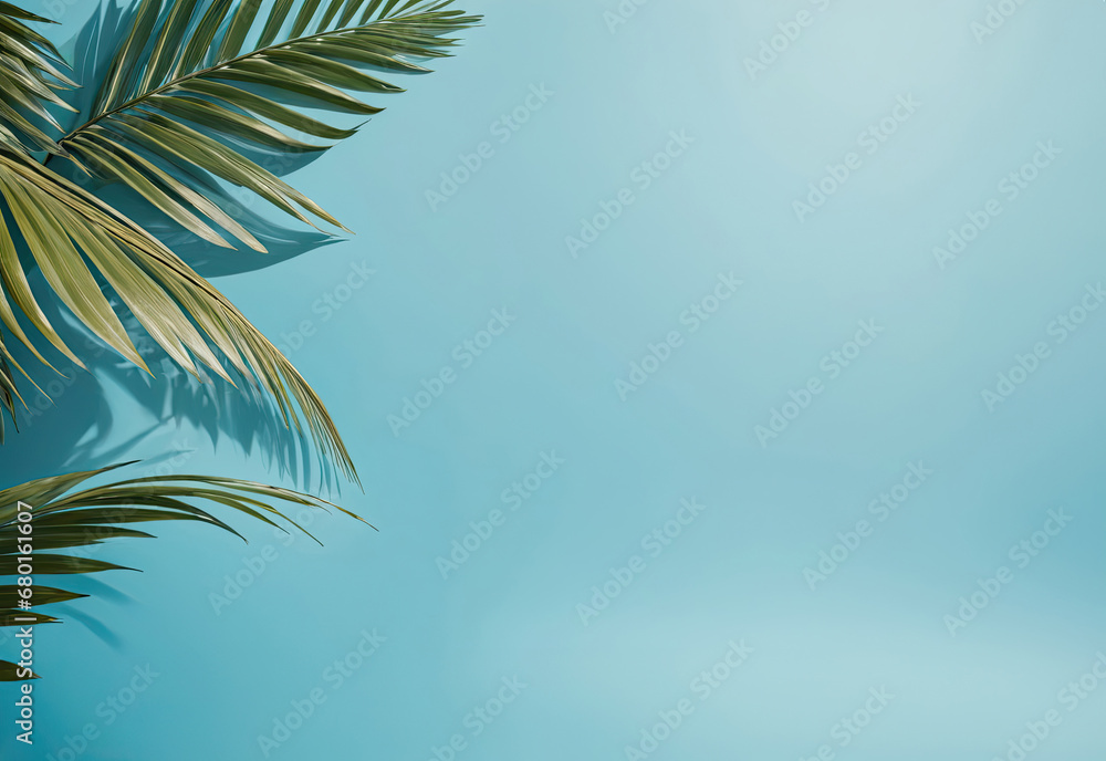 palm tree leaves on the light blue wall. Minimal abstract background for product presentation. palm tree leaves on the light blue wall. Minimal abstract background for product presentation.