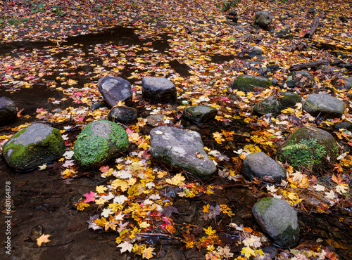 708-05 Boulders and Leaves in the Creek