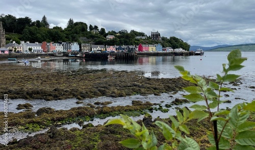 Obraz na plátně Colorful Houses of Tobermory Waterfront Harbor on Isle of Mull at Low Tide