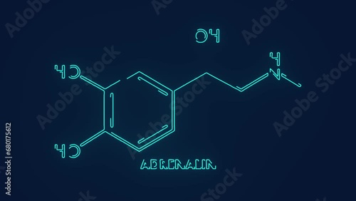 Adrenaline chemical hormone for visceral body functions science animation photo
