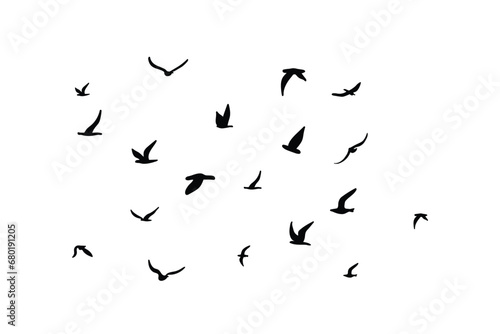 A flock of flying silhouette birds. Black on white background. Vector © lulya