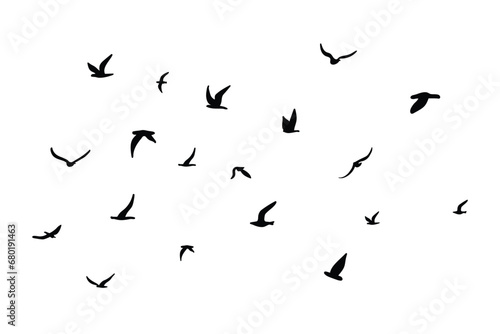 A flock of flying silhouette birds. Black on white background. Vector