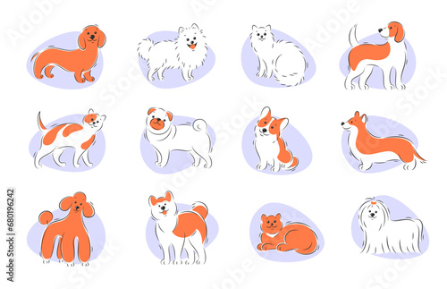 Dogs and cats. Pets set. Vector illustration.