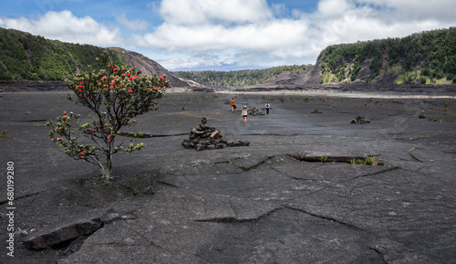 Hawaii Ohia Lehua red flower lava volcano panoramic view Kilauea Iki Crater