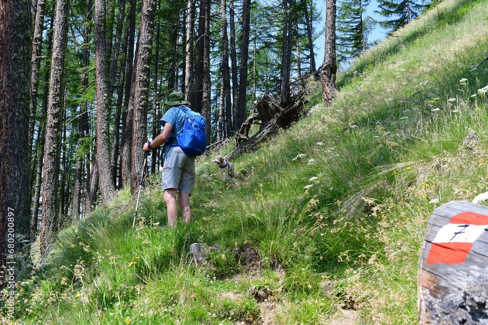 Mann und sein Lagotto Romagnolo Hund wandern im Schnalstal in Südtirol Mann und sein Lagotto Romagnolo Hund wandern im Schnalstal in Südtirol