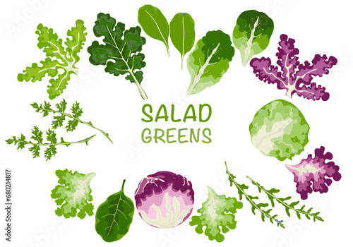 Set of vector vegetable salad, leafy vegetables Organic vegetarian food, and healthy food. Salad icon. We isolated vector illustrations on a white background.