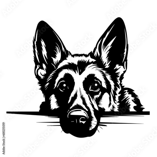 Curious Peeking German Shepherd Vector Illustration