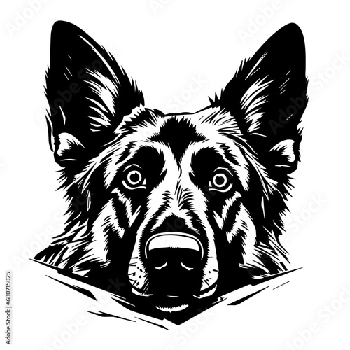 Curious Peeking German Shepherd Vector Illustration
