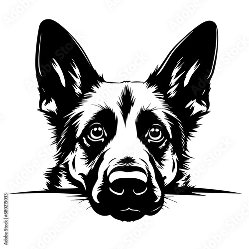 Curious Peeking German Shepherd Vector Illustration