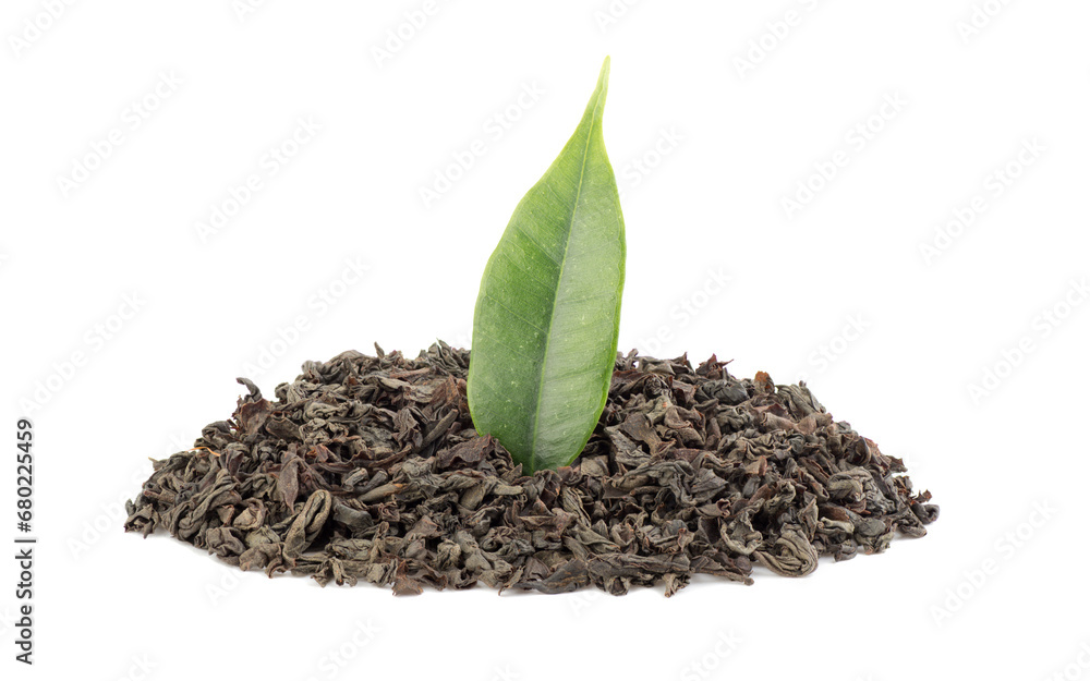 Dry black tea and fresh tea leaf isolated on a white background. Black Ceylon tea. Dry black tea and fresh tea leaf isolated on a white background. Black Ceylon tea.