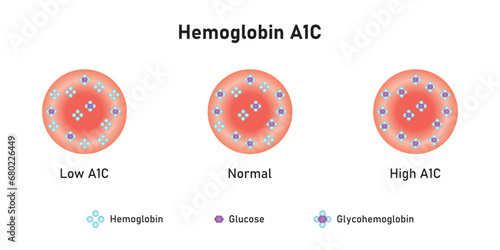 Hemoglobin A1c  Levels Scientific Design. Vector Illustration.