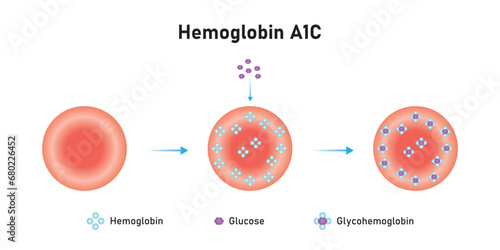 Hemoglobin A1c Scientific Design. Vector Illustration.	