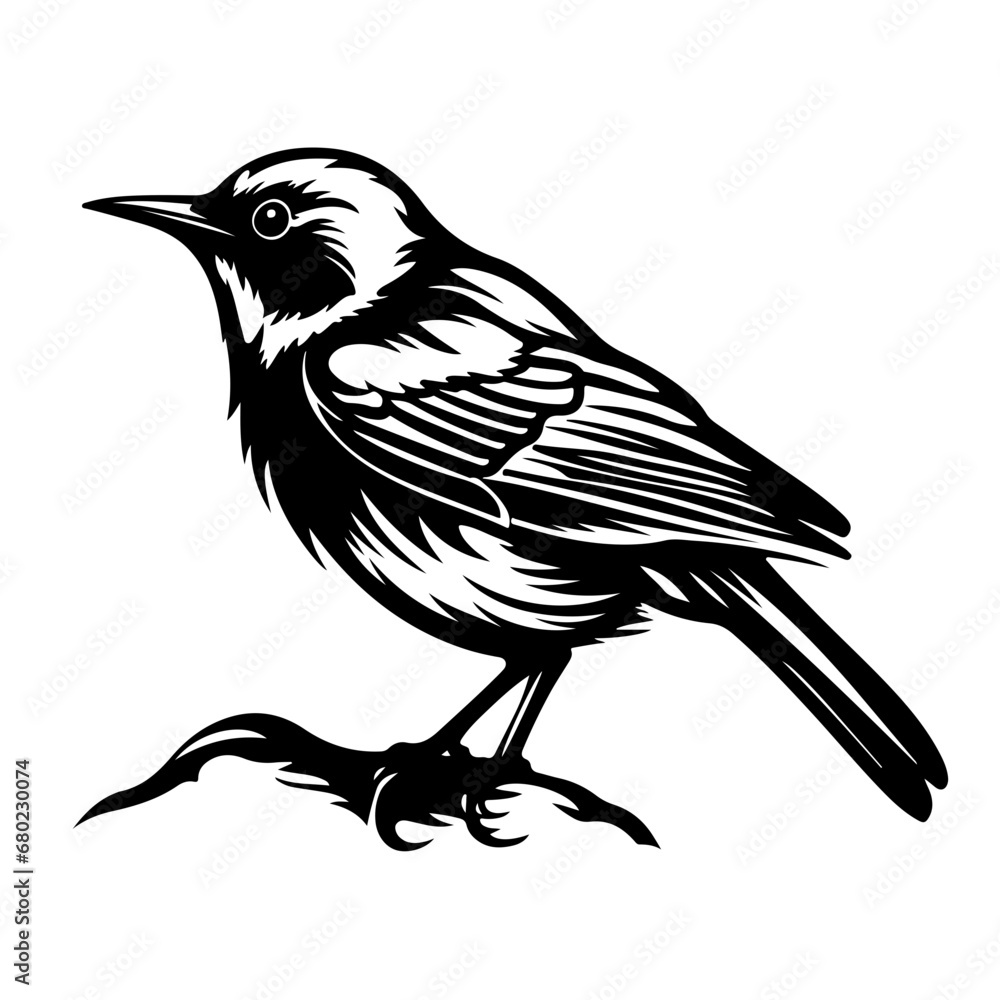 Graceful Bird Vector Illustration Graceful Bird Vector Illustration