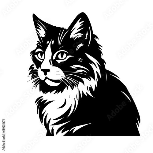 Graceful Cat Vector Illustration