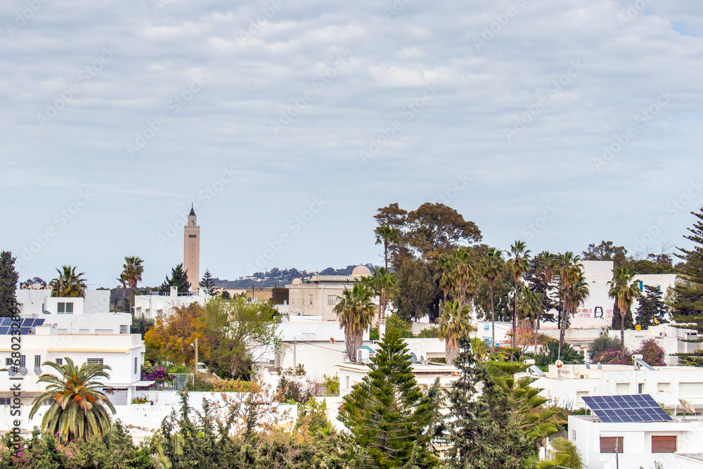A View of Houses in the City of Carthage, Tunisia.