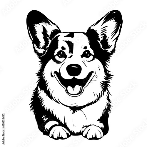 Playful Corgi Vector Illustration