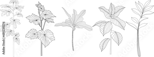 Set of hand drawn decorative plants. Black and white illustration isolate on white.