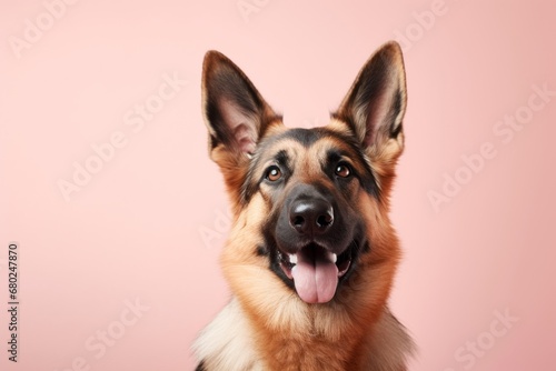 cute german shepherd sitting in a pastel or soft colors background