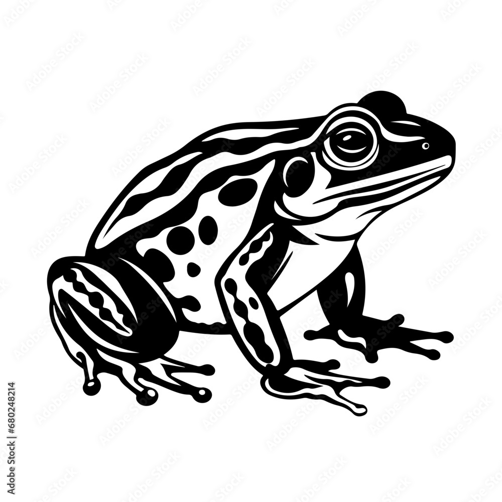 Playful Frog Vector Illustration Playful Frog Vector Illustration