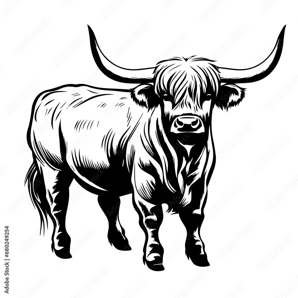 Adorable Highland Cow Vector Illustration Adorable Highland Cow Vector Illustration