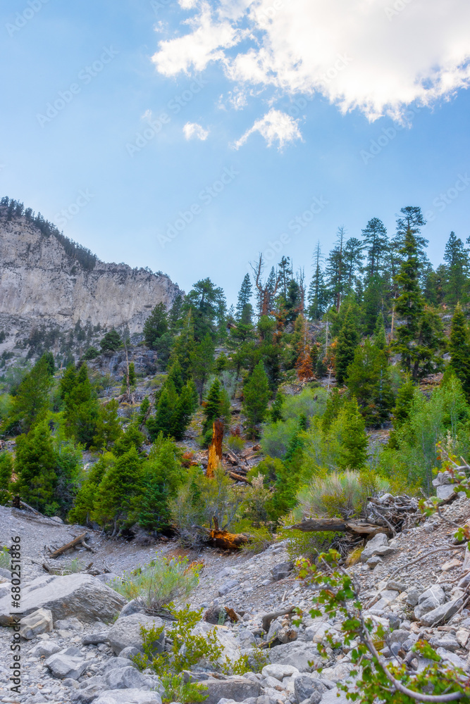 Obraz premium landscape in the mountains