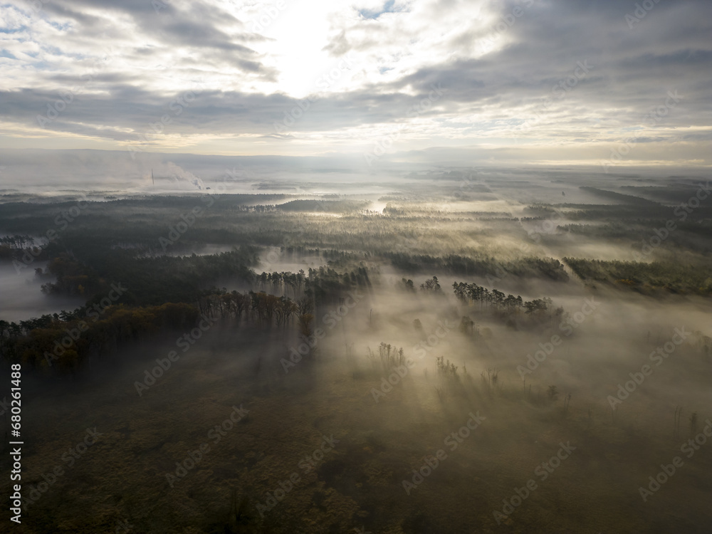 Obraz premium incredible foggy sunrise with beautiful rays of light over the misty valley forest, drone view from high above