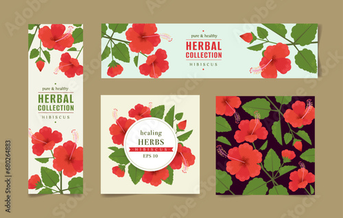 Vector drawing of Hibiscus. Isolated flower and leaves banners set. Detailed botanical sketch for tea label, organic cosmetics, medicine, aromatherapy