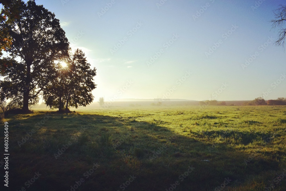 Fototapeta premium Autumn Scene 16
