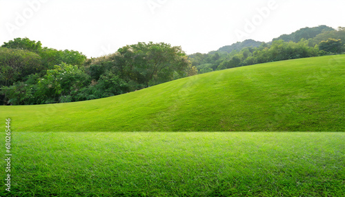 green grass field isolated on white background for montage product display with clipping path