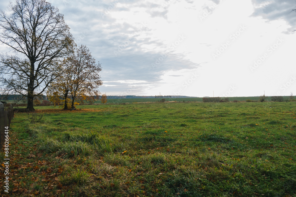 Obraz premium Autumn Scene 13