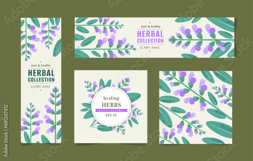 Vector drawing of isolated sage flowers and leaves. Detailed botanical sketch for tea label, organic cosmetics, medicine, aromatherapy