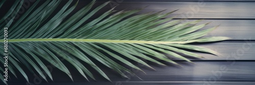 Palm Sunday Concept  Wooden Palm Cross and Palm Leaves on Religious Background for Easter and Catholic Penance
