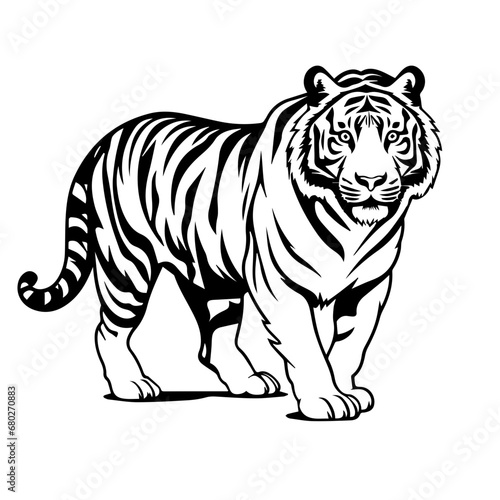 Fototapeta Naklejka Na Ścianę i Meble -  Majestic Tiger Vector Illustration