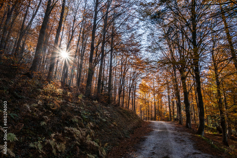 Fototapeta premium Fall foliage in Emilia-Romagna in Italian Appenines, trip at Acquapartita.