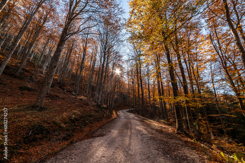 Fall foliage in Emilia-Romagna in Italian Appenines, trip at Acquapartita.