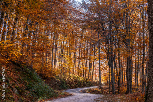 Fall foliage in Emilia-Romagna in Italian Appenines, trip at Acquapartita.