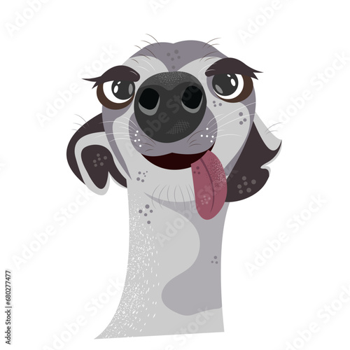 Funny Peruvian naked dog. (ID: 680277477)