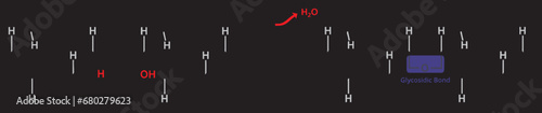 Maltose produced by two glucose molecules