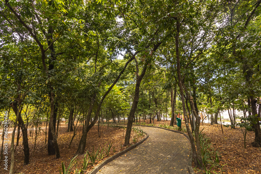 paisagem natural na cidade de Vitória, Estado do Espirito Santo, Brasil paisagem natural na cidade de Vitória, Estado do Espirito Santo, Brasil