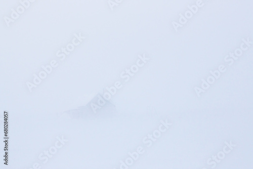 Winter arctic landscape. View of a house in a snowy tundra. Poor visibility during a blizzard and snow storm. Abandoned building in the Arctic. Chukotka  Siberia  Far North Russia. Blurred background.