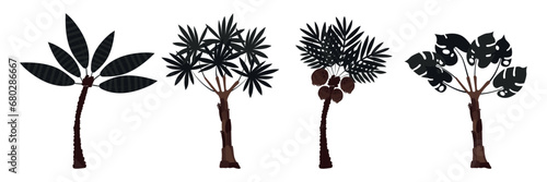 Set of palm trees: coconut and banana. Large carved leaves and dark trunks. Plants. Vector illustration.