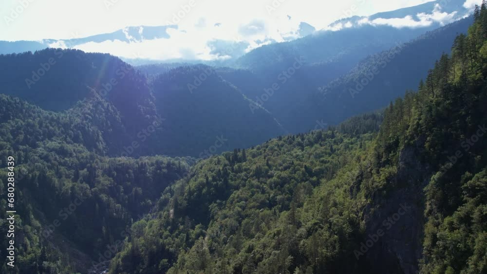 Mountains Covered With Forest Summer Drone Mountains Covered With Forest Summer Drone